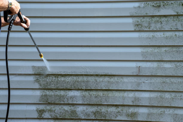 Best Storm Damage Siding Repair  in Midway, GA