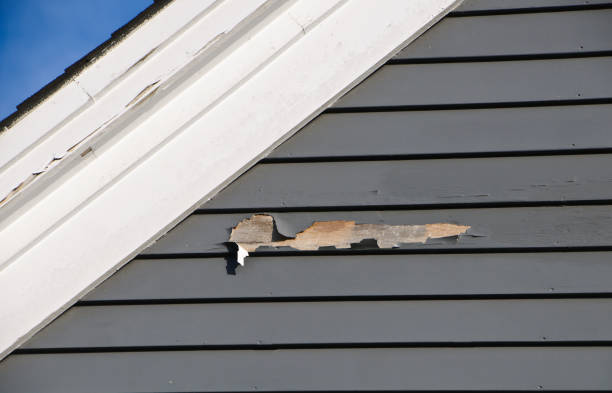 Storm Damage Siding Repair in Midway, GA